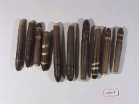 藏品(海膽刺)的圖片